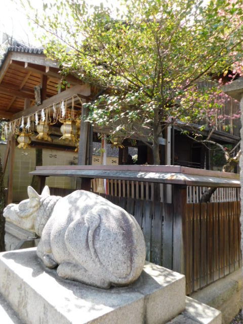 2021.03.11街中の桜・梅 (27)霊光殿天満宮.JPG