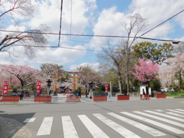 2021.03.24街中の桜 (121)平野神社.JPG