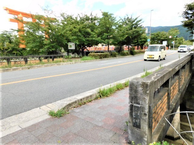 2021.08.29白川児童プール跡  (18).JPG
