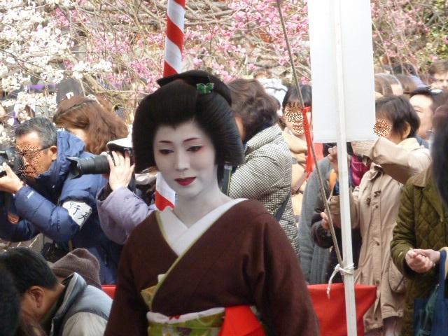 梅花祭の舞妓さん・芸妓さん&梅の花・その①:2015年2月 梅花祭の舞妓さん・芸妓さん&梅の花・その①:2015年2月