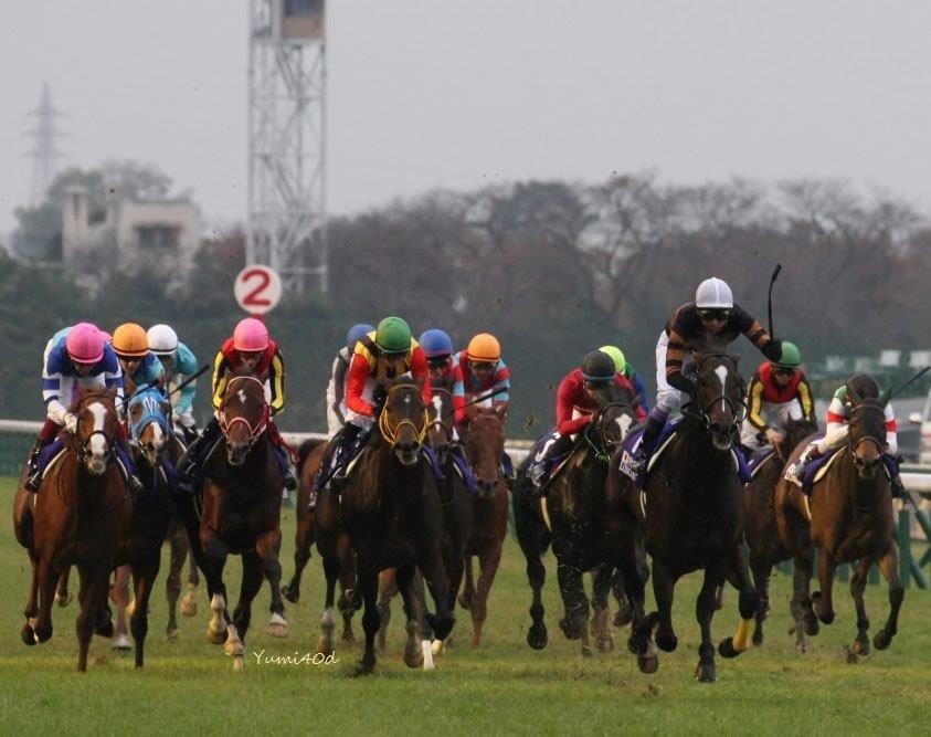 競馬 キタサンブラック ジャパンカップ 武豊騎手 直筆サイン入り