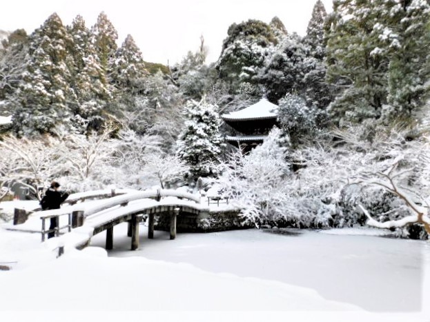 2023.01.25八坂界隈雪景色2023.01 (7).JPG