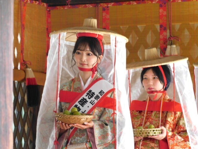 2024.06.06紀州梅道中＆梅奉納奉告祭@下鴨神社 (26).JPG