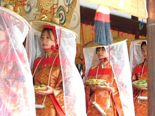 2024.06.06紀州梅道中＆梅奉納奉告祭@下鴨神社 (33).JPG