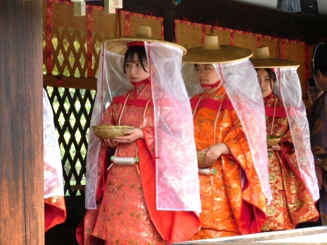 2024.06.06紀州梅道中＆梅奉納奉告祭@下鴨神社 (34).JPG