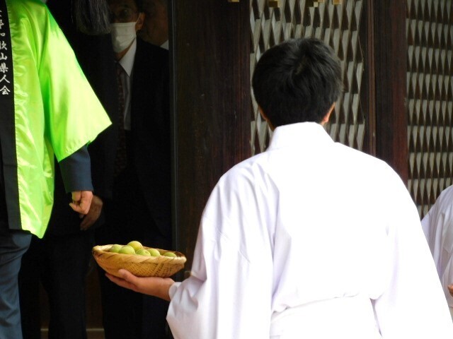 2024.06.06紀州梅道中＆梅奉納奉告祭@下鴨神社 (36).JPG
